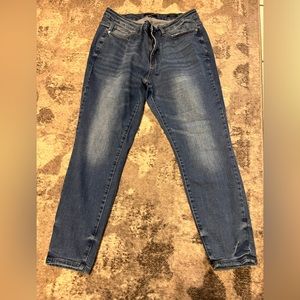 Judy Blue Skinny Fit Jeans Size 18W